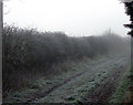 Farmers Road behind Field Head Looking South