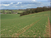 SU3179 : Farmland on the downs near Lambourn by Andrew Smith