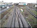 Neasden: Network Rail trackwork (2)