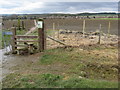 Avenue Washlands - Footpath View