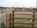 Avenue Washlands - Main Viewpoint near Redleadmill Brook