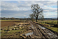 Farm Track and Farmland Drumharrow Farm