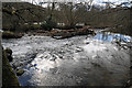 Weir on the River Almond