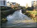 Littlemore Brook in the Oxford Science Park