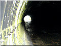 River tunnel detail