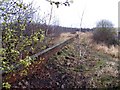 Adjacent to the Bedford to Bletchley railway line