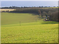 Farmland, Baydon