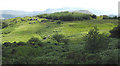 View south over the Glasgoed Forest