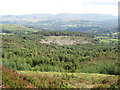 Harvested section of the Glasgoed Forest