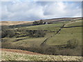 The valley of Rookhope Burn (3)