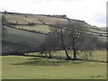 The valley of Rookhope Burn