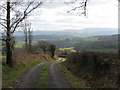 Track above Sarnau