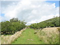 Green lane to Rhiwlas