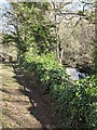 Footpath alongside Rookhope Burn near the waterfall