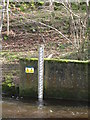 The depth gauge at Eastgate Gauging Station