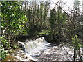 Waterfalls on Rookhope Burn (2)