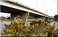 The Sandelford Bridge, Coleraine