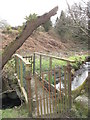 Footbridge over Afon Carrog