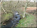 Afon Carrog upstream of the footpath bridge