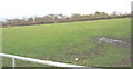 Farmland east of the Dinas-y-prif to Felinwnda road