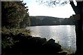 SD6522 : View across Roddlesworth Reservoir by Allan Friswell