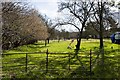 Smallholding with goats, Buttons Lane, West Wellow