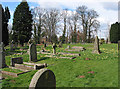 The churchyard at daffodil time