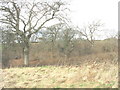 The flood plain of Afon Carrog