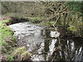 Afon Carrog from the footbridge