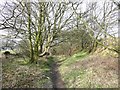 Bridleway, High Hoyland