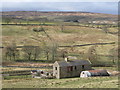 Barns and sheepfold near Peasmeadows