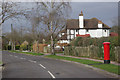 Downs Wood, Tattenham Corner