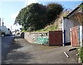 Street Scene, North Molton