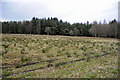 Farmland and the Edge of Cairnie Wood