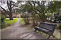 Bench and pathway leading to Library Green, Enfield