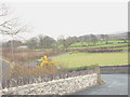 Congestion on the narrow, bendy, road leading from Cae Moel bridge