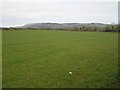 Ballynasherry Townland