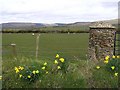 Cloghan Townland