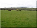 Maine North Townland