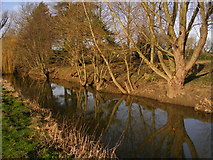 TM3288 : River Waveney near Earsham by Glen Denny