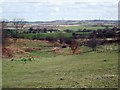 SE4310 : Iron Age site, South Kirkby by David Pickersgill