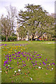 Library Green, Enfield