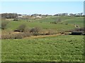 Valley at Tregeen