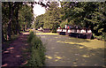 Houseboats and duckweed on the Basingstoke Canal