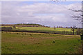 Farmland with Hog Hill in distance, Enfield