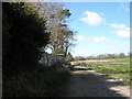 One of two footpaths at Plant Farm