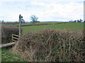 Footpath through pasture