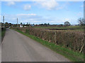 Country road N to Much Marcle from Kempley