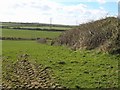 Field boundary near Hendraburnick