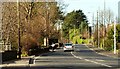 The Shore Road near Greenisland (1)